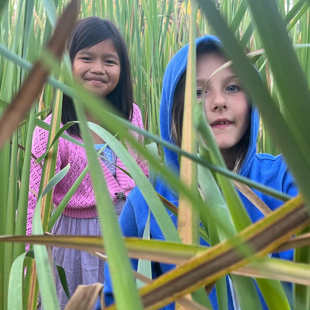 Mission-and-vision-cropped