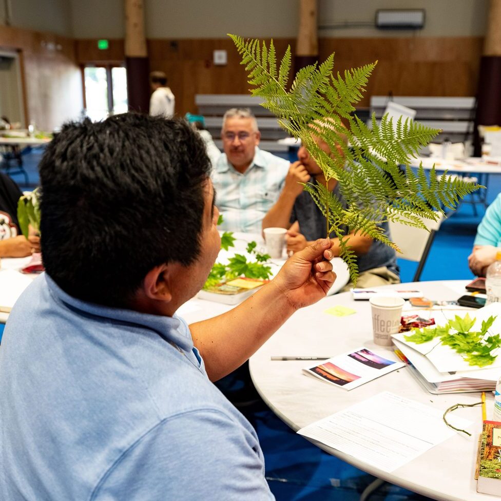 Curriculum-Development